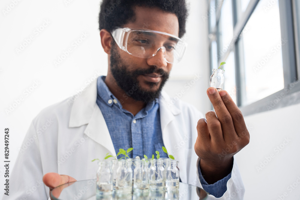 Young scientist examining sprout in vial at laboratory Young scientist examining sprout in vial at laboratory