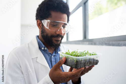 Young scientist examining sprouts in container at laboratory photo
