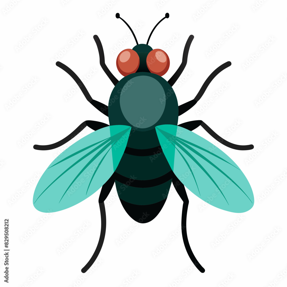 Fototapeta premium Hand drawn fly cartoon illustration