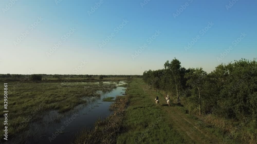 Aerial: Drone Forward Shot Of People Riding Horses On Green Landscape Against Clear Sky During Sunny Day - Bayou Vista, Texas Aerial: Drone Forward Shot Of People Riding Horses On Green Landscape Against Clear Sky During Sunny Day - Bayou Vista, Texas