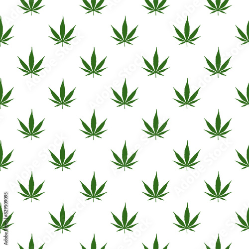 Cannabis leaf pattern. Vector image of cannabis leafs. 