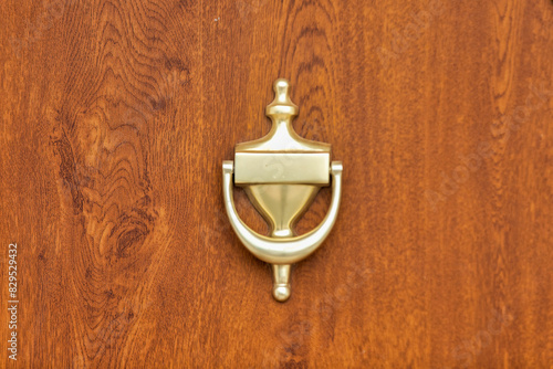 Vintage Brass Door Knocker on Wooden Front Door