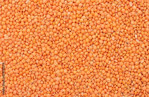 Masoor Dal or Red Lentil Background with Copy Space in Horizontal Orientation