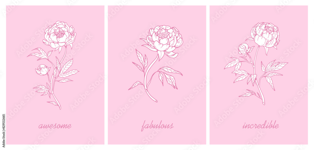 Flower card with peony blossom. Floral branch, outlined contoured blooming plant. Beautiful botanical postcards set. Garden stems, posters in retro vintage style. Hand-drawn vector illustrations Flower card with peony blossom. Floral branch, outlined contoured blooming plant. Beautiful botanical postcards set. Garden stems, posters in retro vintage style. Hand-drawn vector illustrations