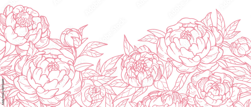 Flower blooms, outlined contoured drawing. Floral card, etched blossoms. Peonies in vintage retro style. Botanical design. Detailed sketchy garden plants. Natural hand-drawn vector illustration Flower blooms, outlined contoured drawing. Floral card, etched blossoms. Peonies in vintage retro style. Botanical design. Detailed sketchy garden plants. Natural hand-drawn vector illustration