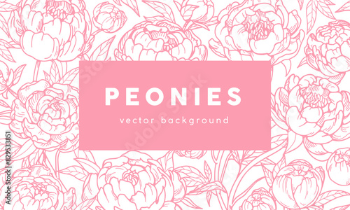 Peonies, outlined floral card design. Contoured flowers, framed background. Garden blossom. Beautiful delicate blooms, botanical template, detailed retro drawing. Hand-drawn vector illustration