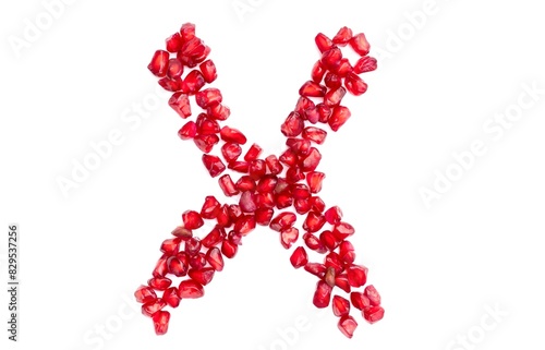 X English Alphabet Capital Letter Written with Pomegranate Seeds Isolated on White Background, Kindergarten Children Education Concepts