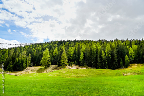 Ofenpass, Passstrasse, Bergstrasse, Engadin, Pass, Nationalpark, Ova Spin, Val Müstair, Alpen, Frühling, Sommer, Graubünden, Schweiz photo