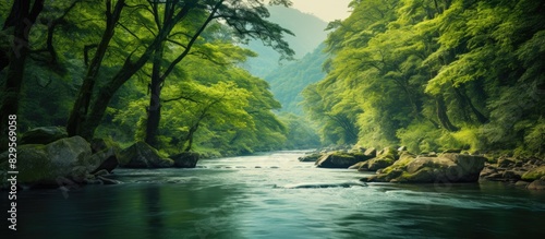 A serene river flowing through a dense forest with a vast expanse of copy space image