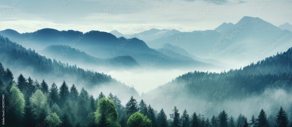 Scenic view of a misty forest enveloping a lush valley with a copy space image