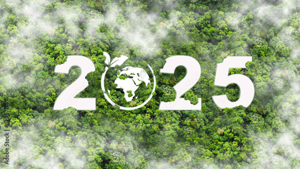 New Goals, Plans and Visions for Next Year 2025. Sustainable environment development goals