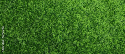Green textured artificial grass field for various sports with copy space image