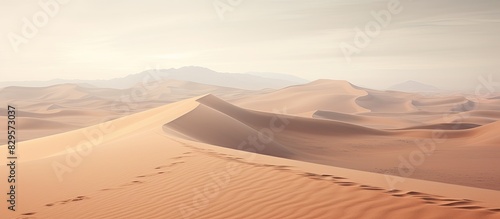 Imprints in the pale desert sands create a serene scene with copy space image