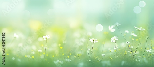 Blurry and defocused green abstract background with a spring theme ideal for design projects needing a soft and dreamy copy space image photo