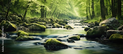 Forest river featuring soft flowing water captured with a slow shutter speed in the woods ideal for a copy space image