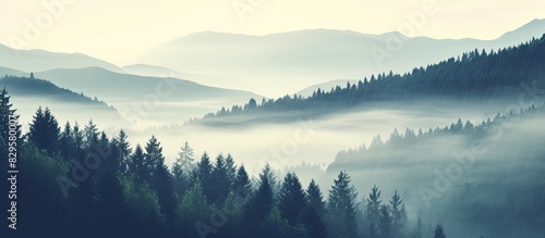 Vintage toned summer mountain landscape on a foggy morning creates an amazing hipster background with a frame of trees ideal for a copy space image photo