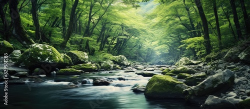Nature composition featuring a river flowing deeply within a dense mountain forest with a tranquil ambiance and plenty of copy space image photo