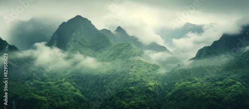 Mountain scenery covered with mist and rain providing a serene backdrop for a photograph with ideal copy space image