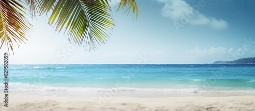 An exotic summer beach scene with blurred palm trees and the sea in the background ideal for adding a copy space image
