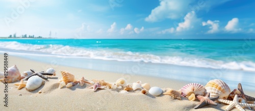 Tropical beach scene with scattered shells and copy space image