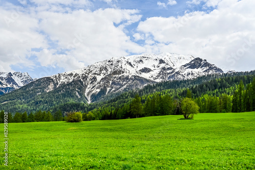 Ofenpass, Passstrasse, Bergstrasse, Engadin, Pass, Nationalpark, Ova Spin, Val Müstair, Alpen, Frühling, Bergwiesen, Landwirtschaft, Sommer, Graubünden, Schweiz