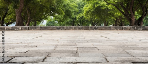 Stone paving block in a park with copy space image
