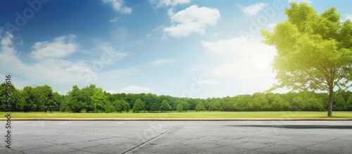 Scenic asphalt road with lush tree lined edges ideal for a copy space image