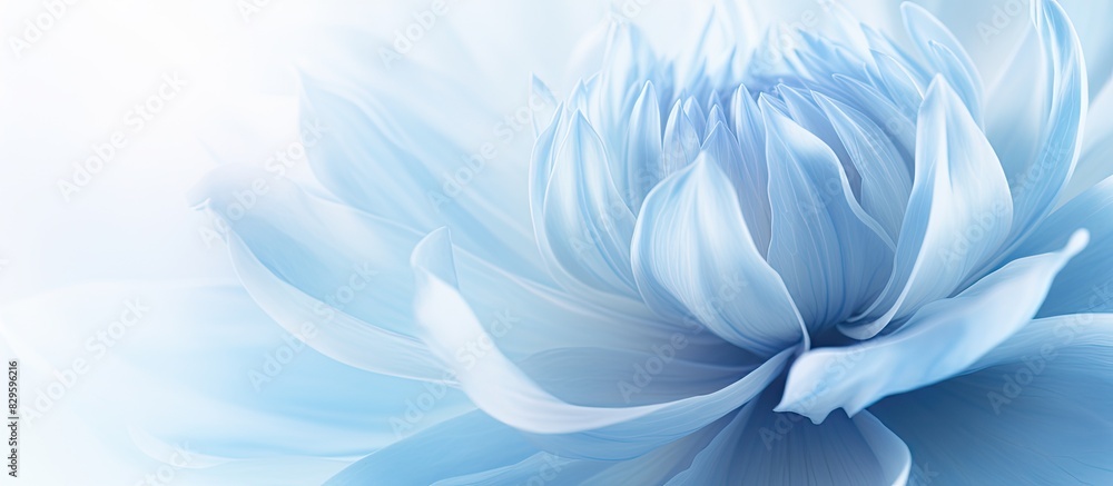 Closeup view of a stunning light blue peony with copy space image included Closeup view of a stunning light blue peony with copy space image included