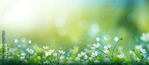 Green leaves and grass flowers create a natural background with blurred images for copy space image