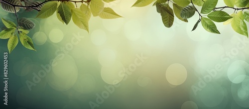 Stunning nature themed image with leaves in the background and space for text or design elements. Copy space image. Place for adding text and design photo
