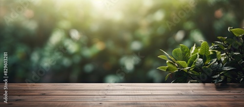 Blurry nature background enhances the visual appeal of the table top creating an ideal setting for a copy space image