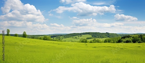 Fototapeta Naklejka Na Ścianę i Meble -  Landscape with fresh green vegetation from the forest and meadows under a sky filled with fluffy white clouds ideal for a copy space image