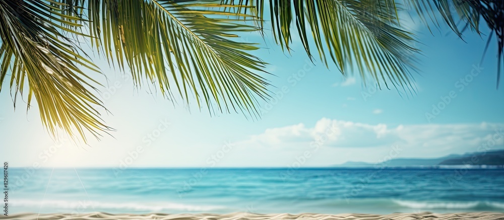 An exotic summer beach scene with blurred palm trees and the sea in the background ideal for adding a copy space image