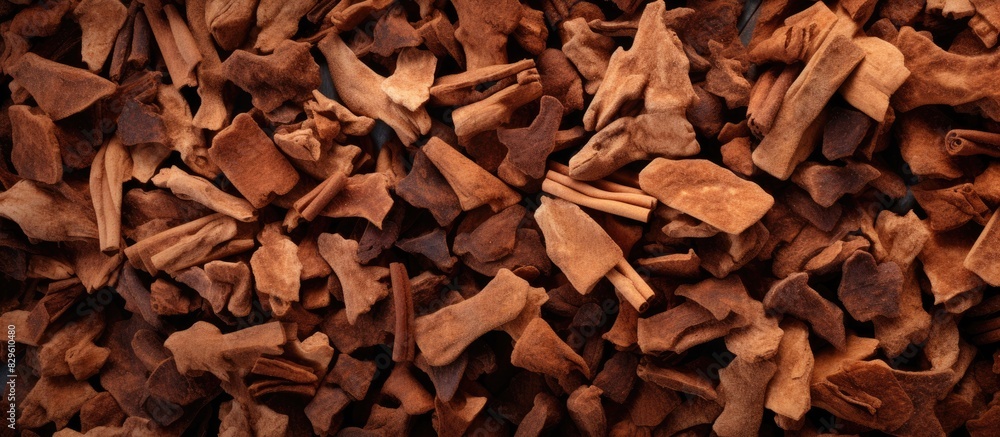 Cinnamon Texture Stock Photos Cinnamon background Cinnamon coarse cuts pieces Tea ingredient Spices Aroma. Copy space image. Place for adding text and design Cinnamon Texture Stock Photos Cinnamon background Cinnamon coarse cuts pieces Tea ingredient Spices Aroma. Copy space image. Place for adding text and design