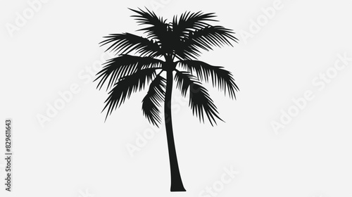 Coconut palm tree black silhouette isolated on a white