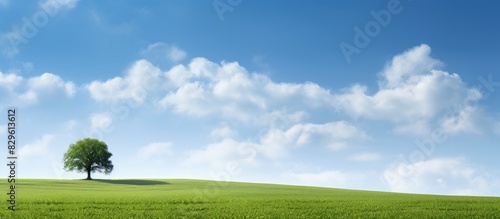 Scenic rural view with a lone tree set against a backdrop of rolling fields perfect for a copy space image