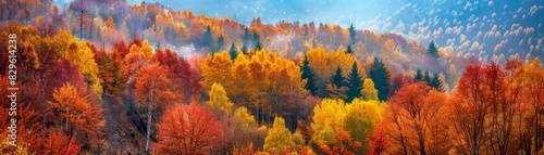 Vibrant Autumn Forest Landscape with Foliage