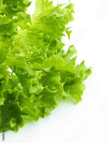 Green leaves of salad isolated on white background © Nik_Merkulov
