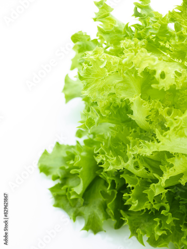 Green leaves of salad isolated on white background © Nik_Merkulov