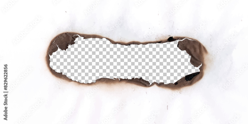 Realistic holes burn in paper with brown edges and flames isolated on transparent background