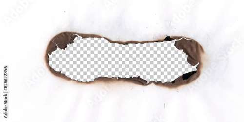 Realistic holes burn in paper with brown edges and flames isolated on transparent background