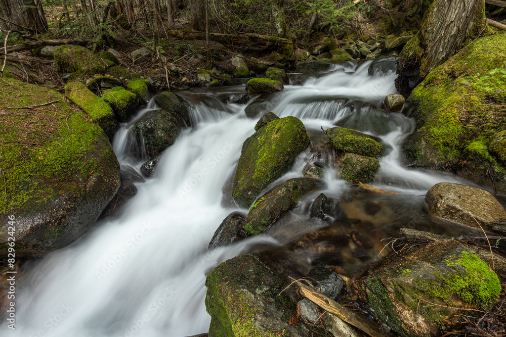 Waterfall in the forest