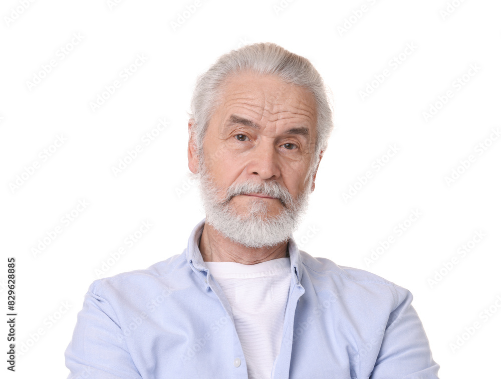 Portrait of stylish grandpa on white background Portrait of stylish grandpa on white background