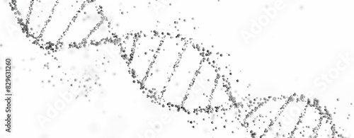 3D rendering of a DNA double helix structure with spheres on a white background with copy space. Genomic sequencing, molecular biology, and genetic data analysis