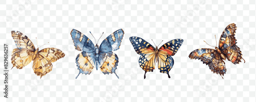 Butterfly watercolor transparent isolated vector