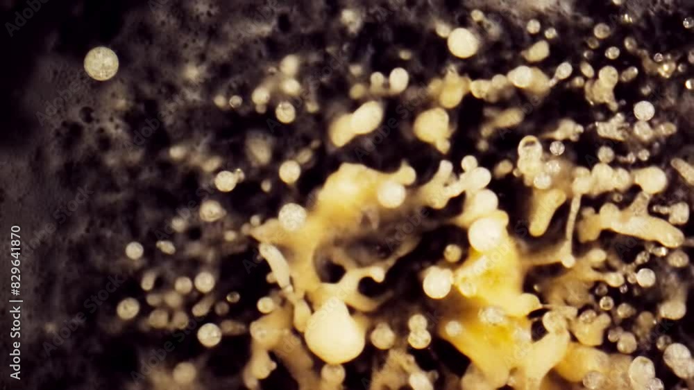 Orange juice Splashing Super Slow Motion 1000 fps
Orange juice Splashing Super Slow Motion 1000 fps