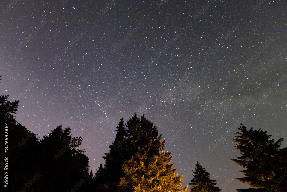 Fototapeta premium sky with stars