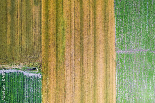 Obraz na plátne Rural landscape, cultivated fields with colors and transversal lines seen from a