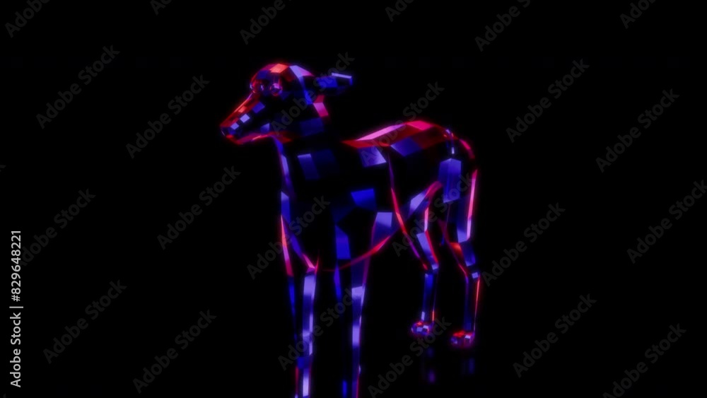 Rendering 3D animation, VISUAL EFFECTS Low Poly Greyhound Dog Model on a black background Rendering 3D animation, VISUAL EFFECTS Low Poly Greyhound Dog Model on a black background