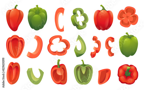 Bell pepper. Eco vegan food fresh sliced colored pepper exact vector illustrations in cartoon style